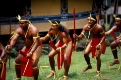 Male dancers, PalauPhotograph property of the Palau Visitors Authority